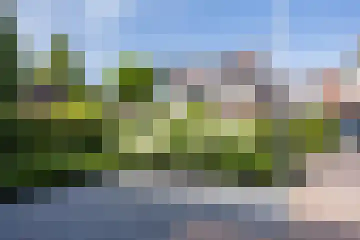 Parnassialaan 14 Bennebroek thumbnail 48