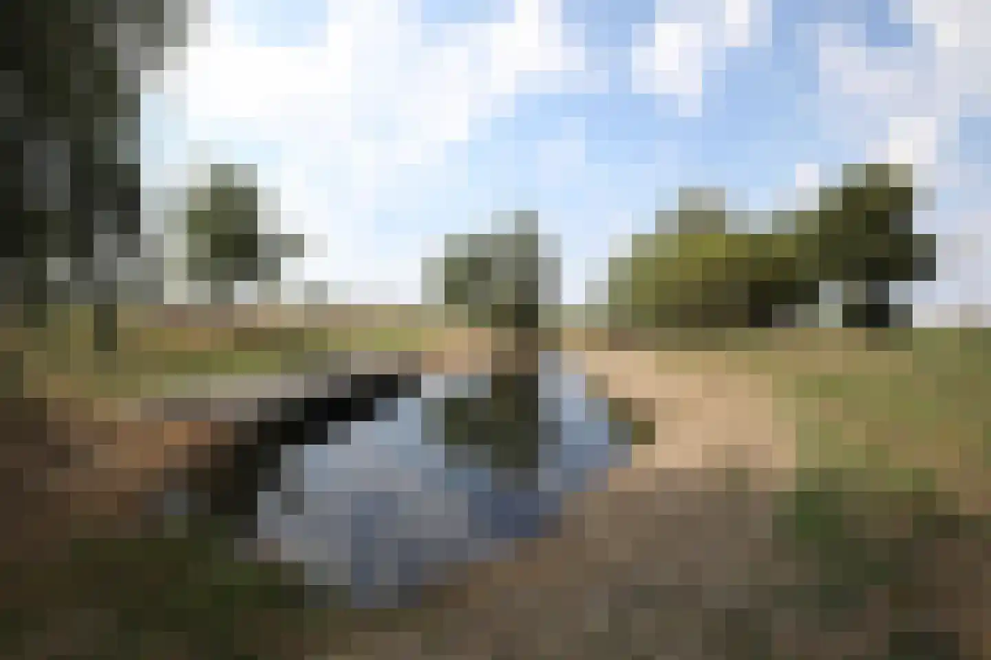 Parnassialaan 196 Lelystad thumbnail 16