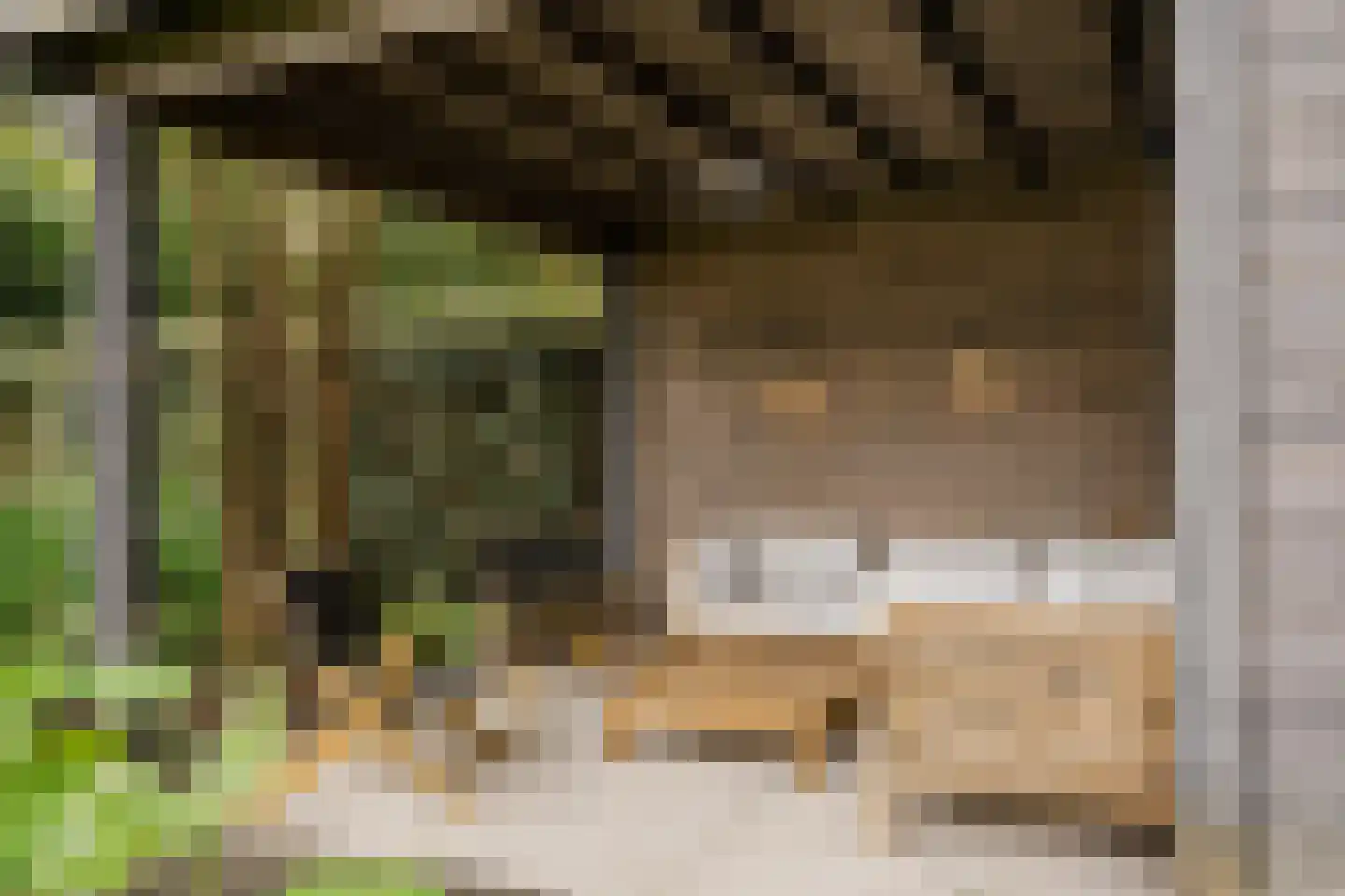 Parnassialaan 21 Bentveld thumbnail 33