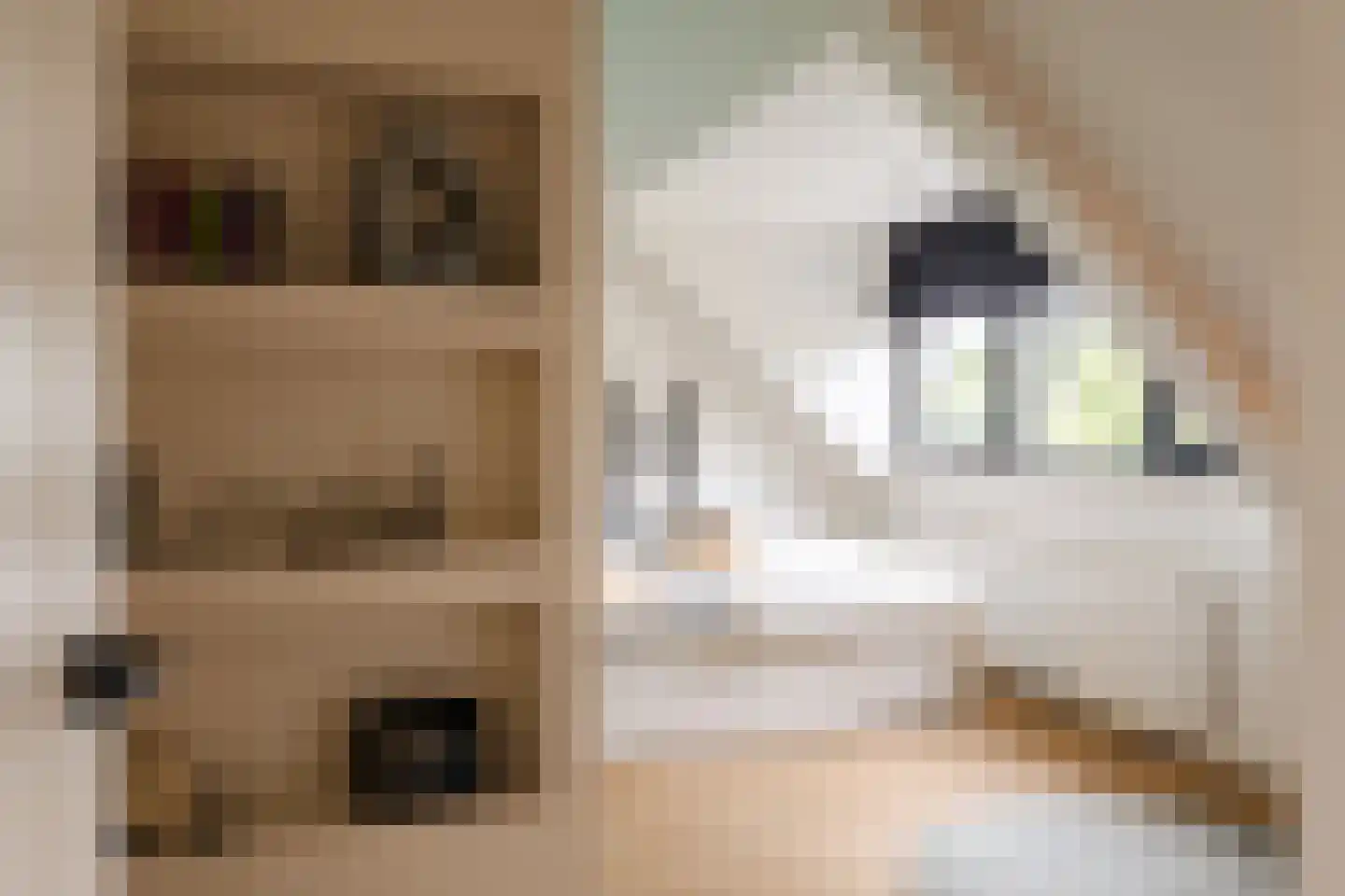 Parnassialaan 21 Bentveld thumbnail 37