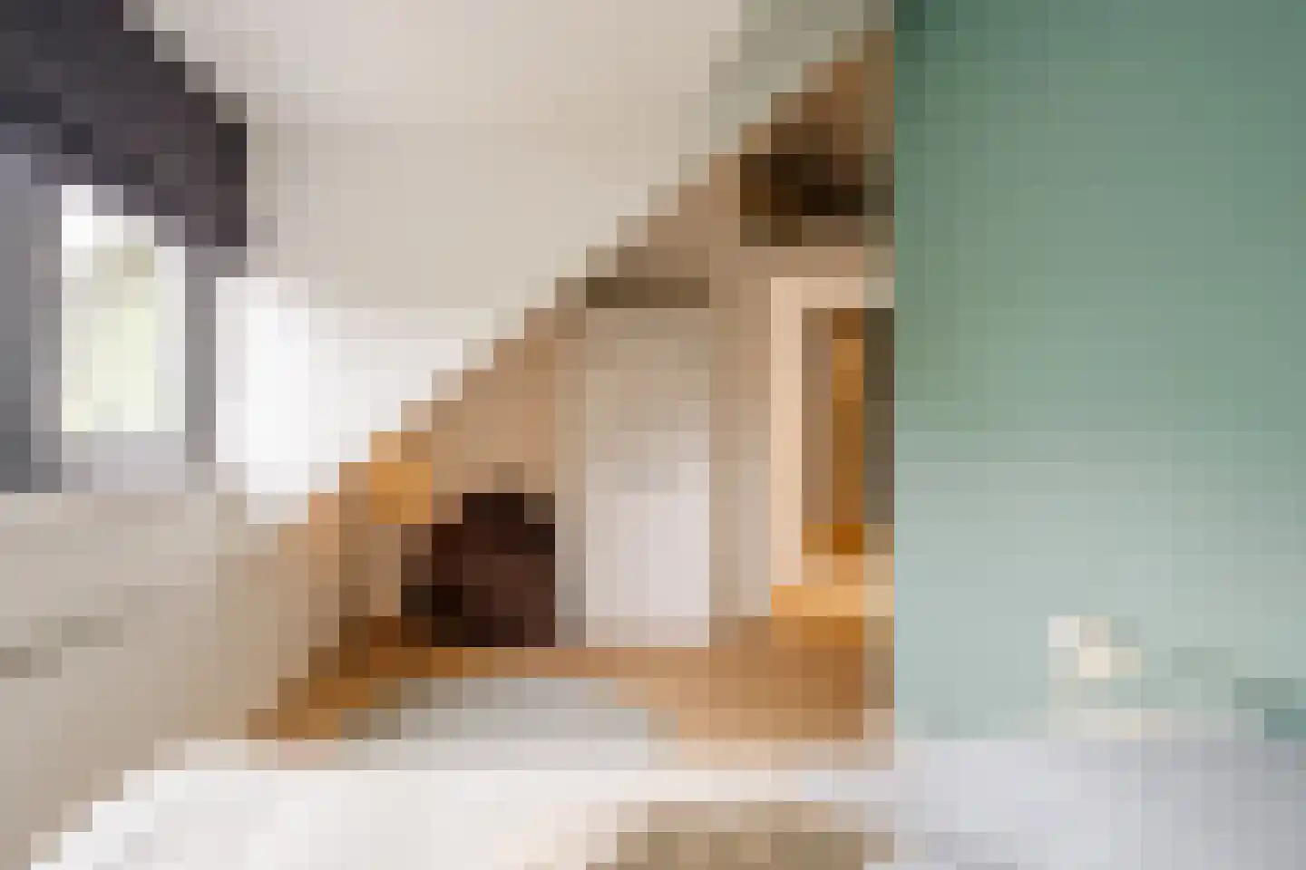 Parnassialaan 21 Bentveld thumbnail 38