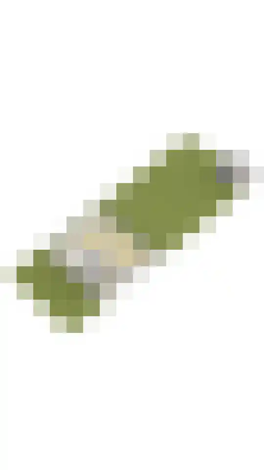Parnassialaan 21 Bentveld thumbnail 65