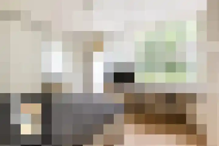 Parnassialaan 24 Oostvoorne thumbnail 25