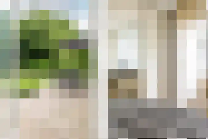 Parnassialaan 24 Oostvoorne thumbnail 27