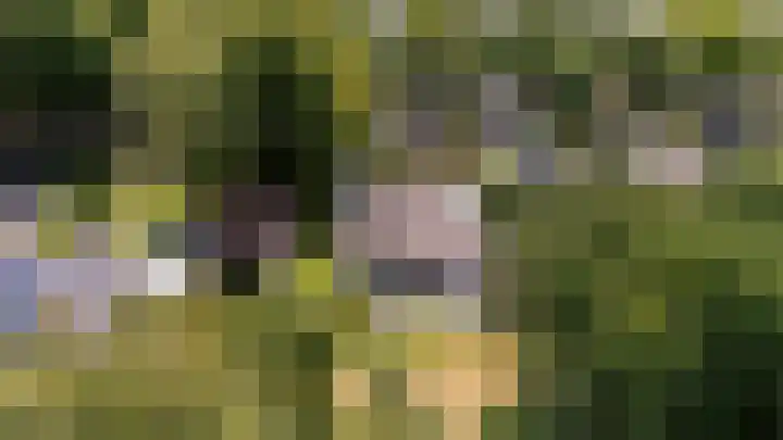 Parnassialaan 24 Oostvoorne thumbnail 31
