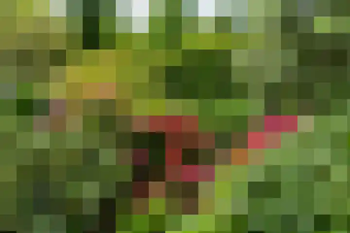 Parnassialaan 24 Oostvoorne thumbnail 32