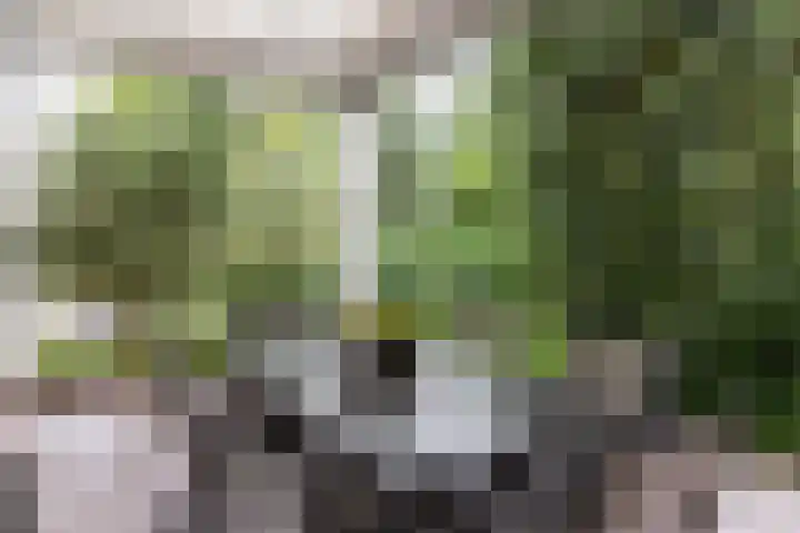 Parnassialaan 24 Oostvoorne thumbnail 33