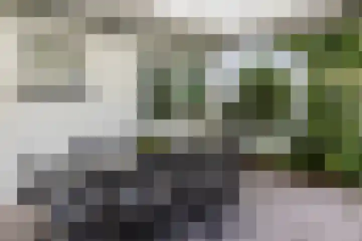Parnassialaan 24 Oostvoorne thumbnail 34