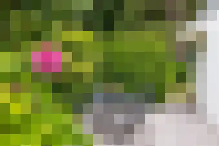 Parnassialaan 24 Oostvoorne thumbnail 35