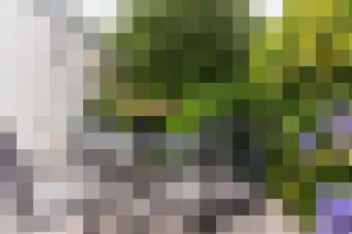 Parnassialaan 24 Oostvoorne thumbnail 36