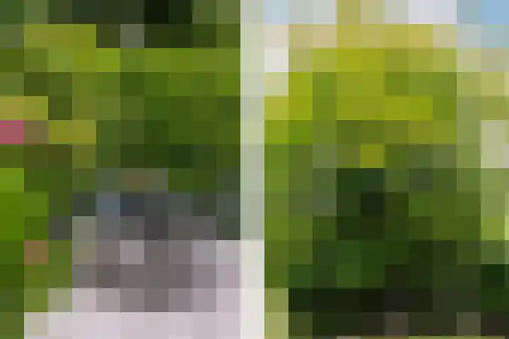 Parnassialaan 24 Oostvoorne thumbnail 37