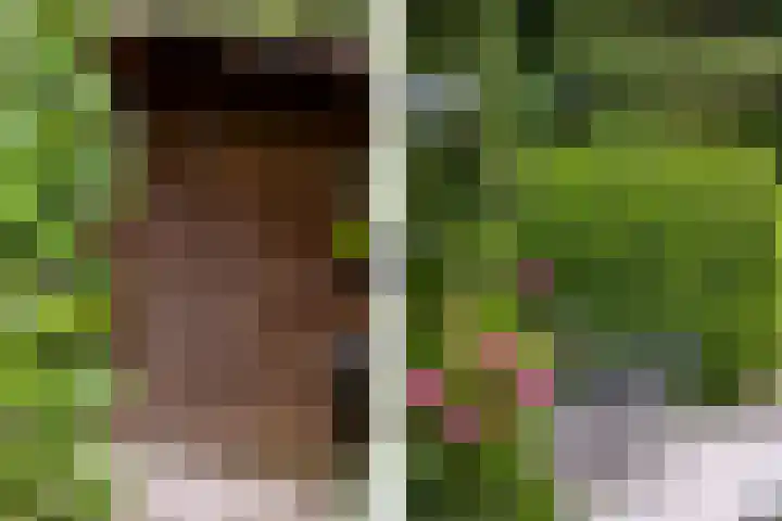 Parnassialaan 24 Oostvoorne thumbnail 38