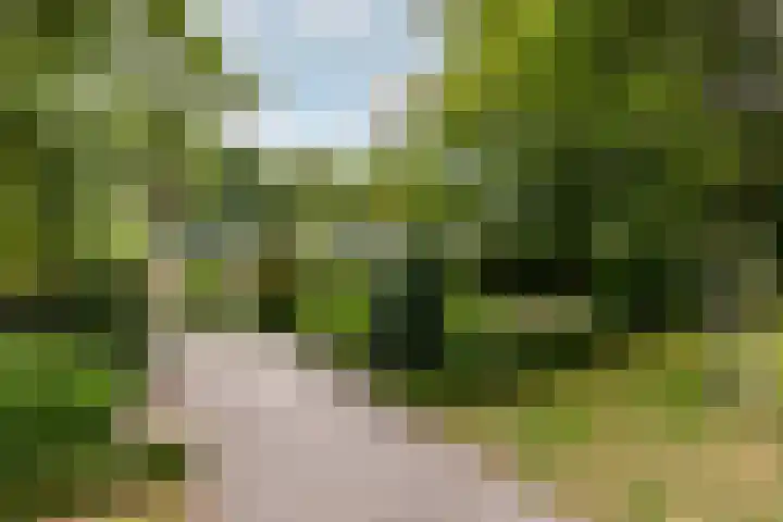 Parnassialaan 24 Oostvoorne thumbnail 4