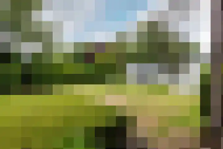 Parnassialaan 24 Oostvoorne thumbnail 40