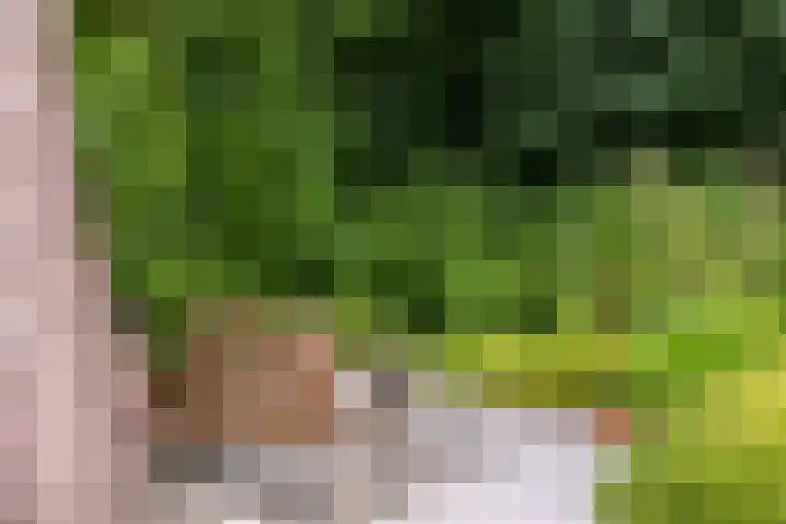 Parnassialaan 24 Oostvoorne thumbnail 41