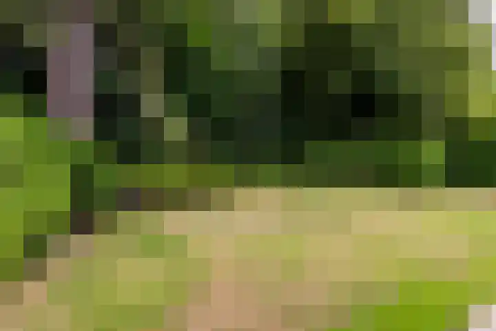 Parnassialaan 24 Oostvoorne thumbnail 42