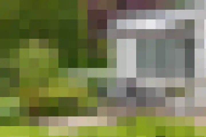 Parnassialaan 24 Oostvoorne thumbnail 44