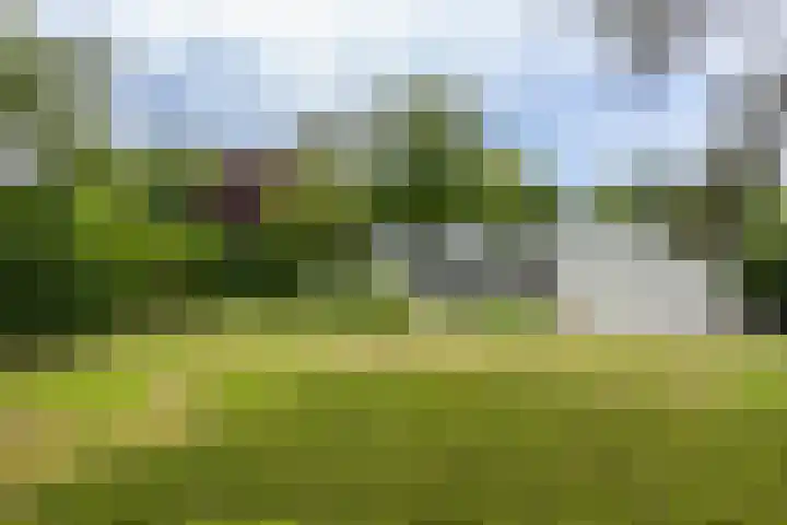 Parnassialaan 24 Oostvoorne thumbnail 46