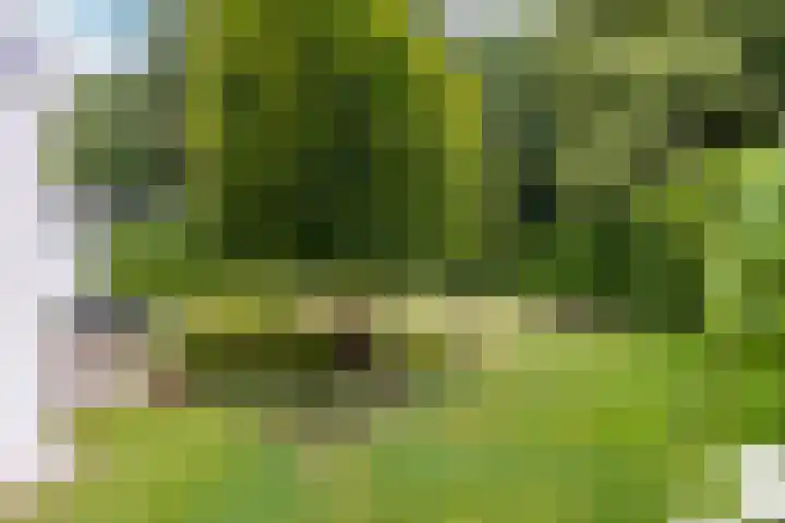 Parnassialaan 24 Oostvoorne thumbnail 47