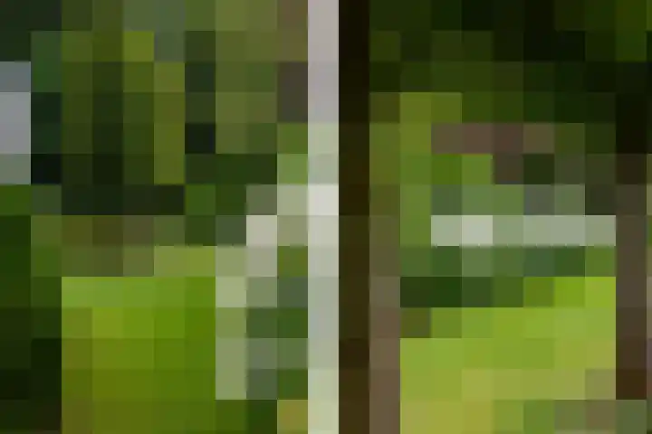 Parnassialaan 24 Oostvoorne thumbnail 48