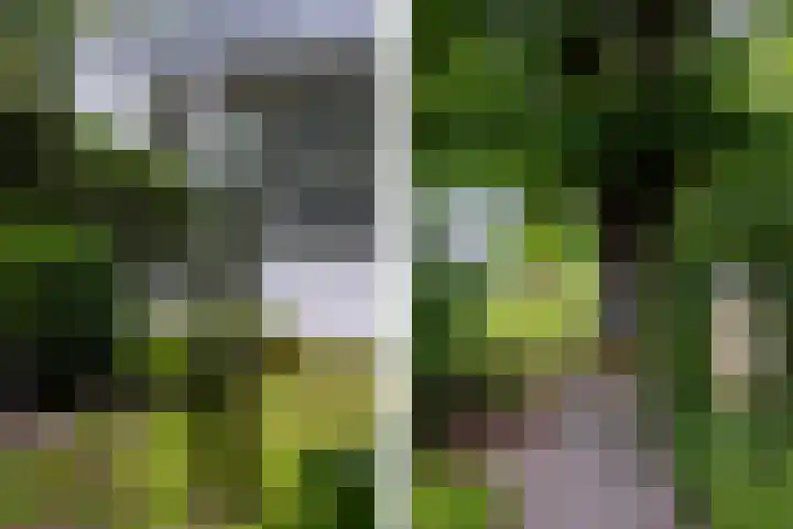 Parnassialaan 24 Oostvoorne thumbnail 49