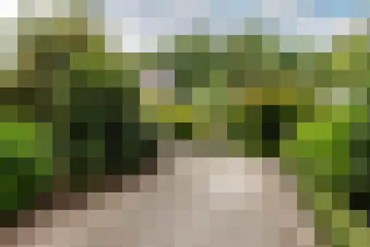 Parnassialaan 24 Oostvoorne thumbnail 5