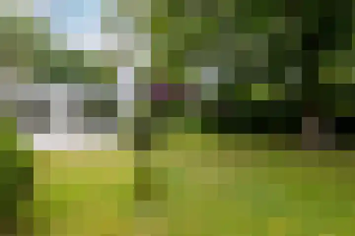 Parnassialaan 24 Oostvoorne thumbnail 50