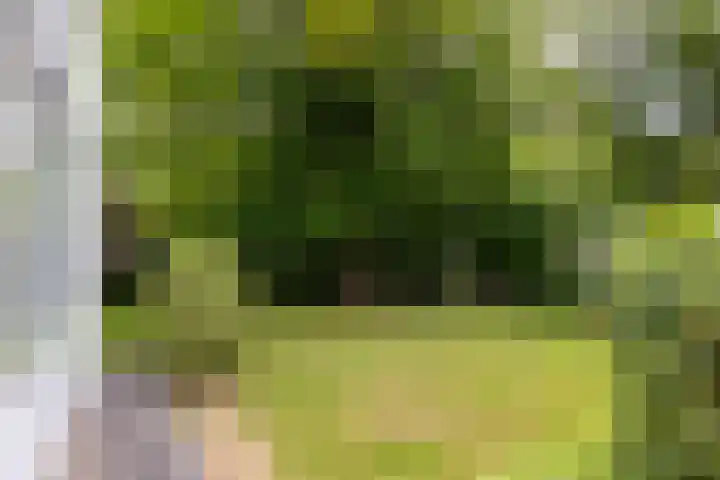 Parnassialaan 24 Oostvoorne thumbnail 51