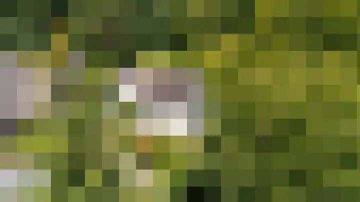 Parnassialaan 24 Oostvoorne thumbnail 52