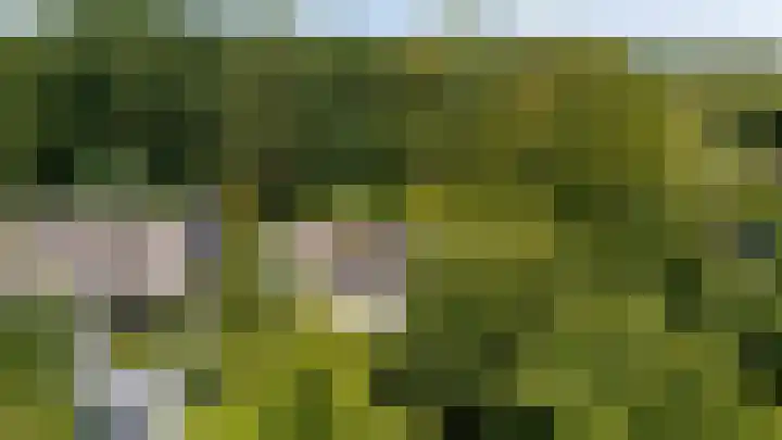Parnassialaan 24 Oostvoorne thumbnail 53