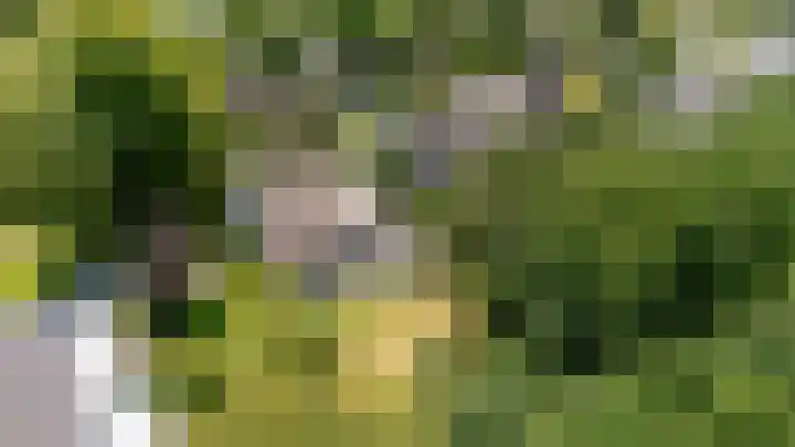 Parnassialaan 24 Oostvoorne thumbnail 54