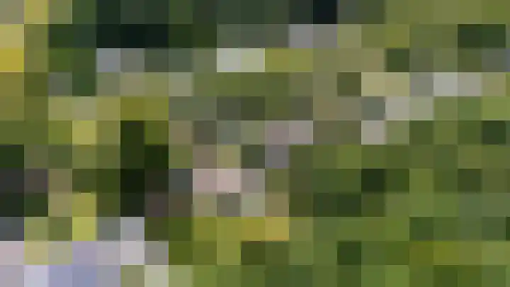 Parnassialaan 24 Oostvoorne thumbnail 55