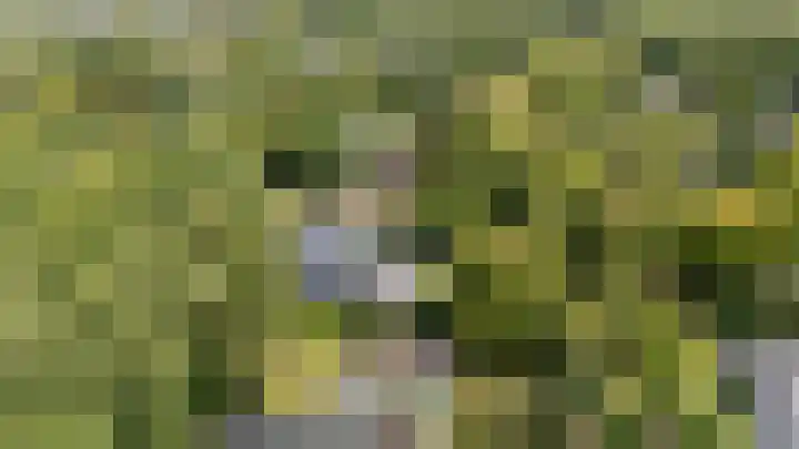 Parnassialaan 24 Oostvoorne thumbnail 56