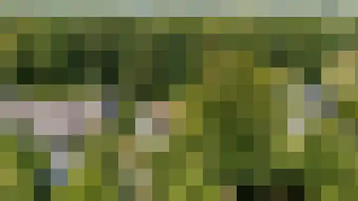 Parnassialaan 24 Oostvoorne thumbnail 57