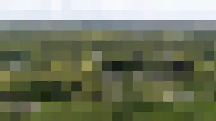 Parnassialaan 24 Oostvoorne thumbnail 58