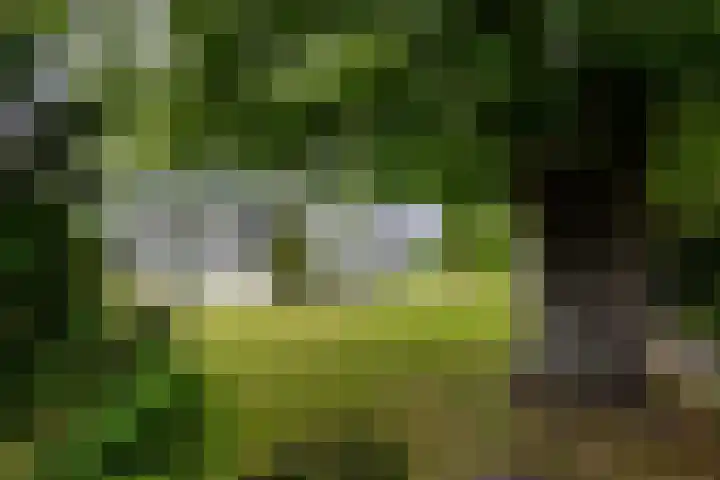 Parnassialaan 24 Oostvoorne thumbnail 6