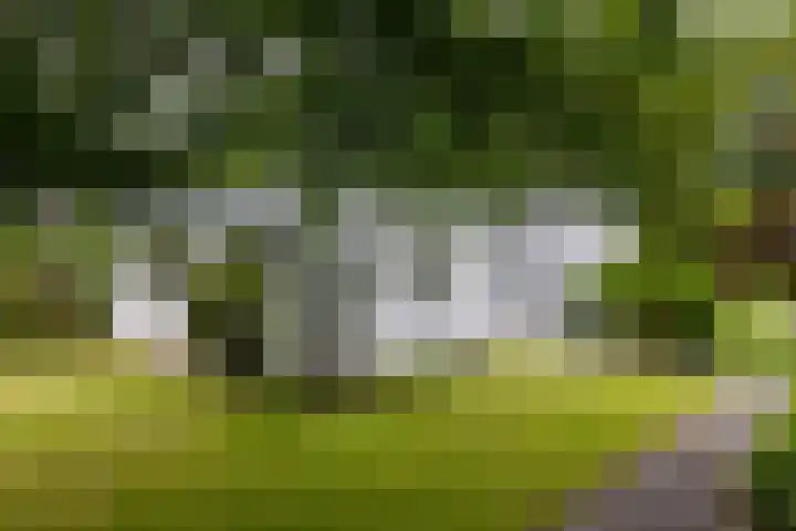 Parnassialaan 24 Oostvoorne thumbnail 7