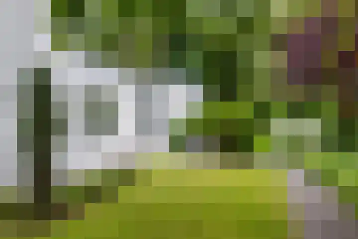 Parnassialaan 24 Oostvoorne thumbnail 8