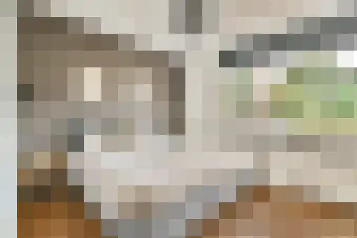 Parnassialaan 28 Noordwijkerhout thumbnail 11
