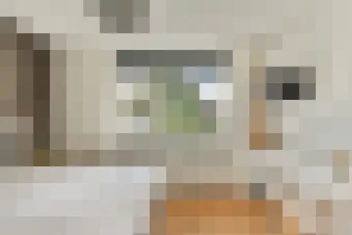 Parnassialaan 28 Noordwijkerhout thumbnail 12