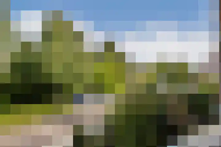 Parnassialaan 28 Noordwijkerhout thumbnail 18