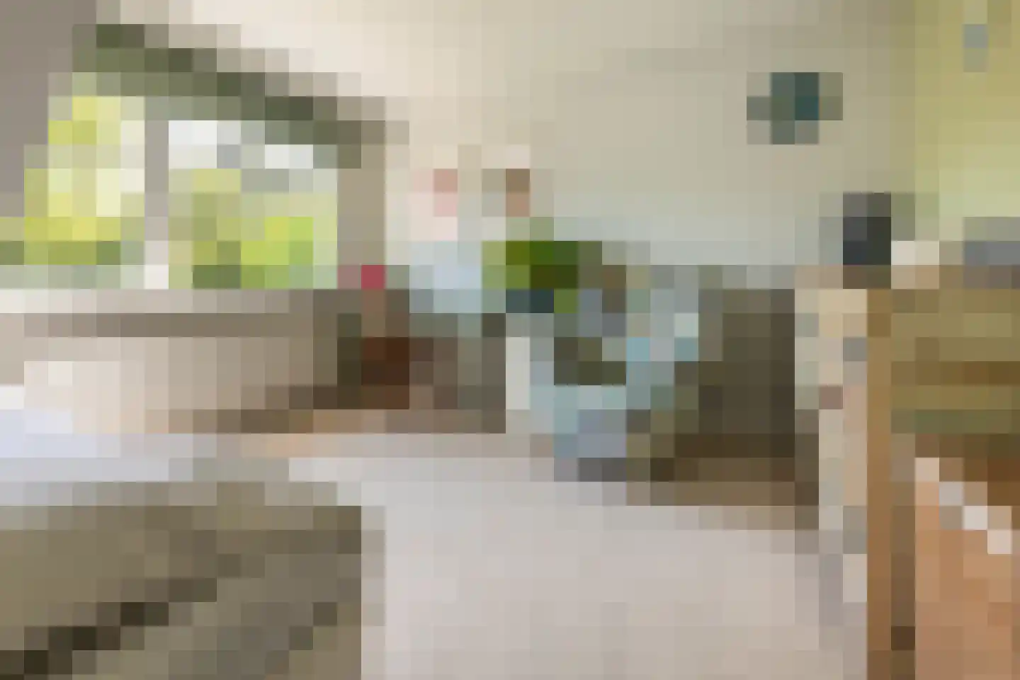 Parnassialaan 3 Bentveld thumbnail 25