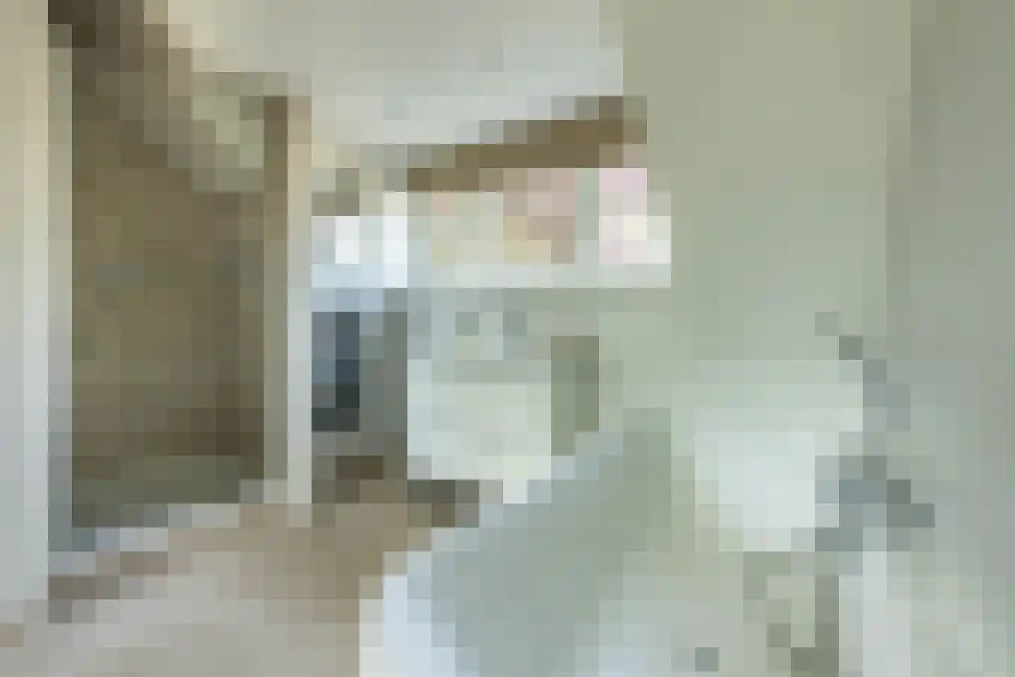 Parnassialaan 3 Bentveld thumbnail 31