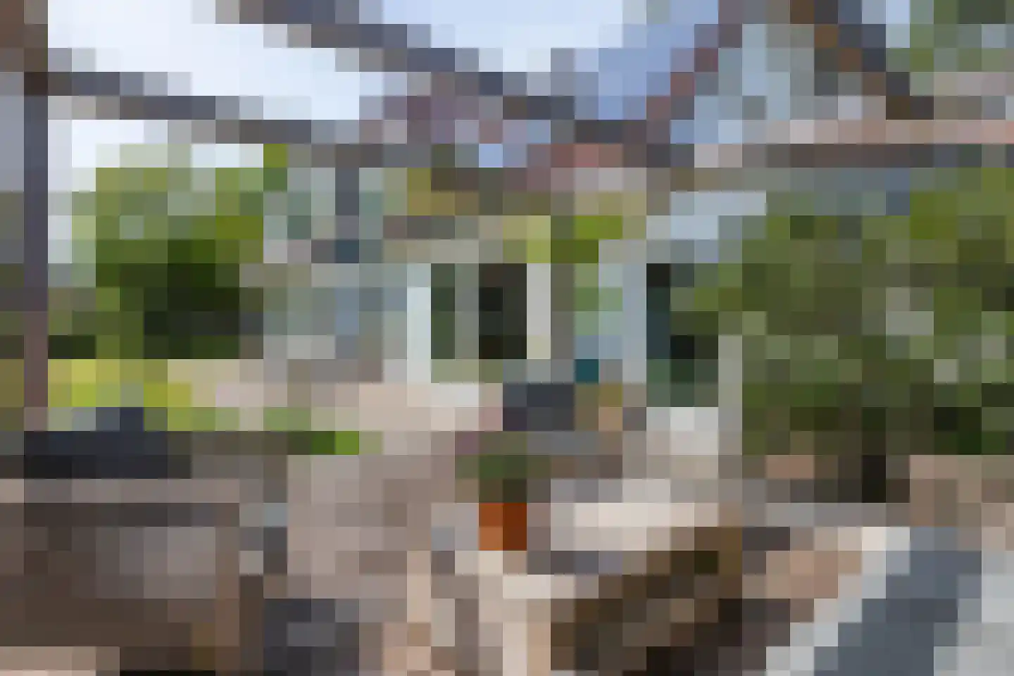 Parnassialaan 3 Bentveld thumbnail 37