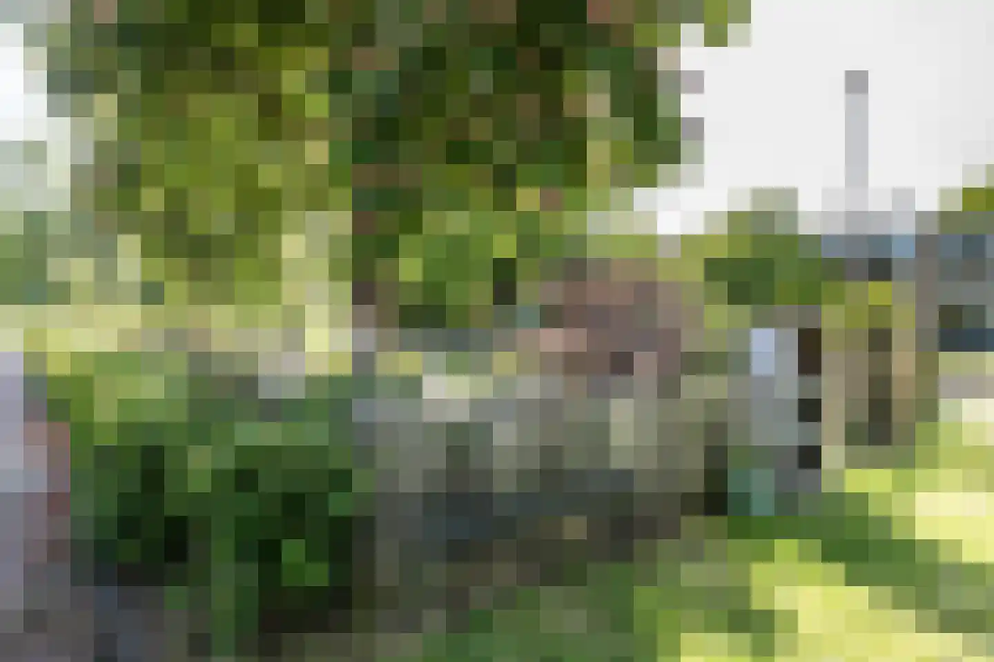 Parnassialaan 3 Bentveld thumbnail 44