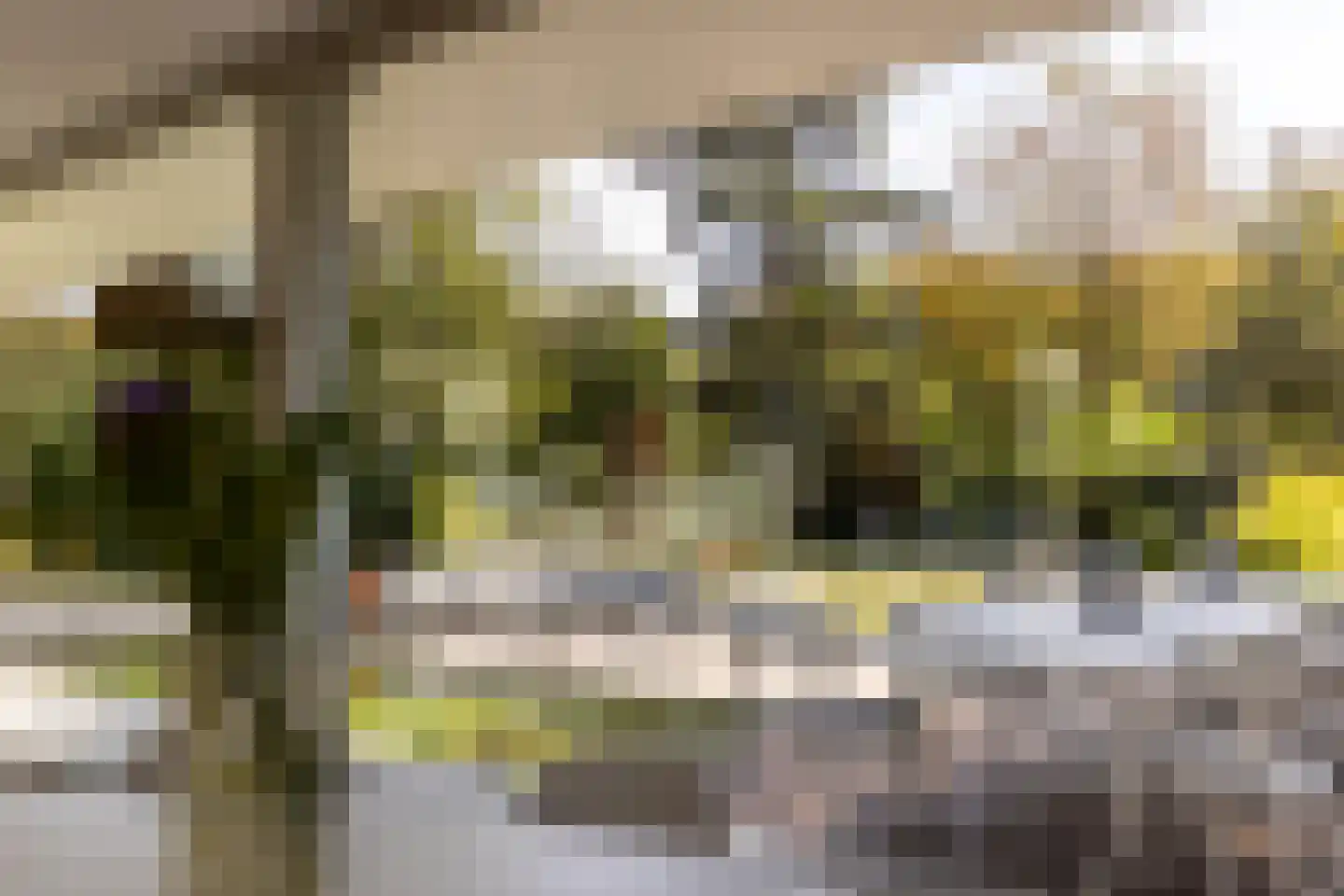 Parnassialaan 30 Oostvoorne thumbnail 33