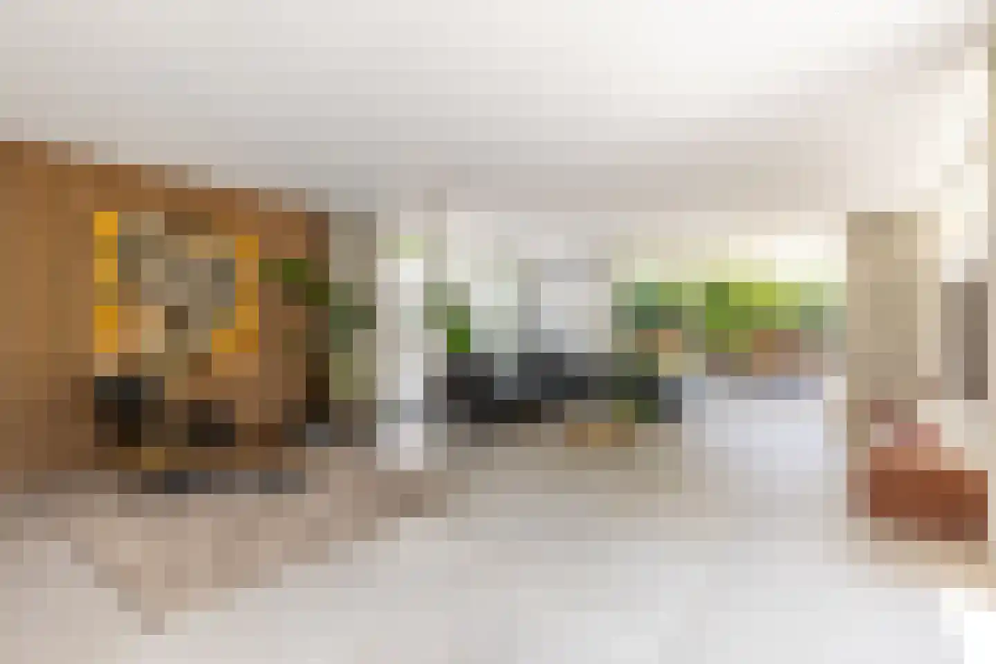Parnassialaan 30 Oostvoorne thumbnail 36