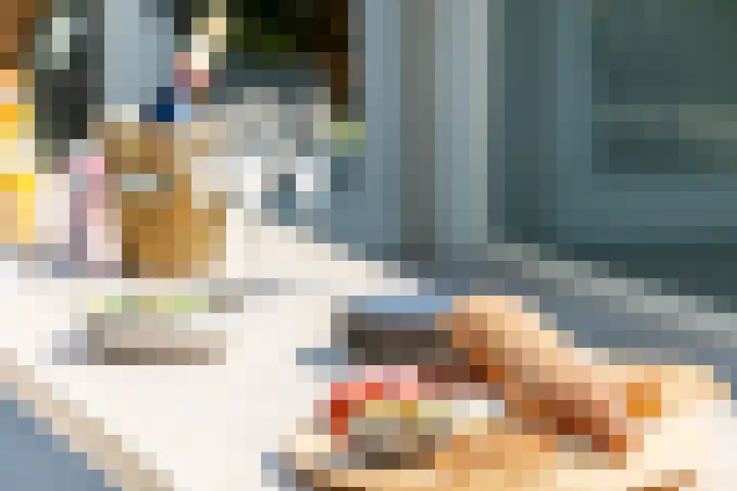 Parnassialaan 30 Oostvoorne thumbnail 43