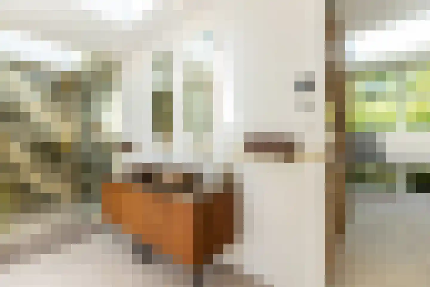 Parnassialaan 30 Oostvoorne thumbnail 55