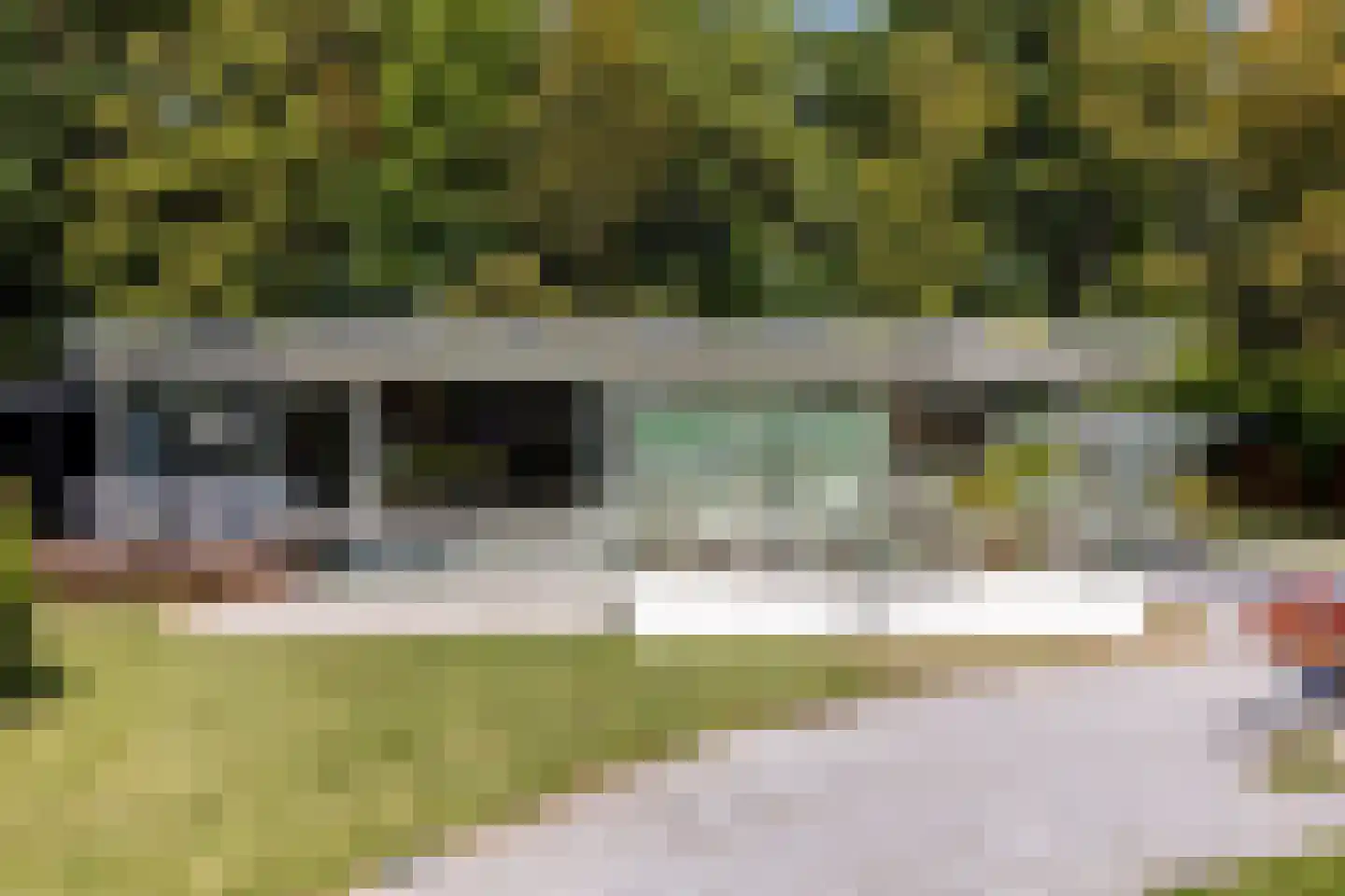 Parnassialaan 30 Oostvoorne thumbnail 6